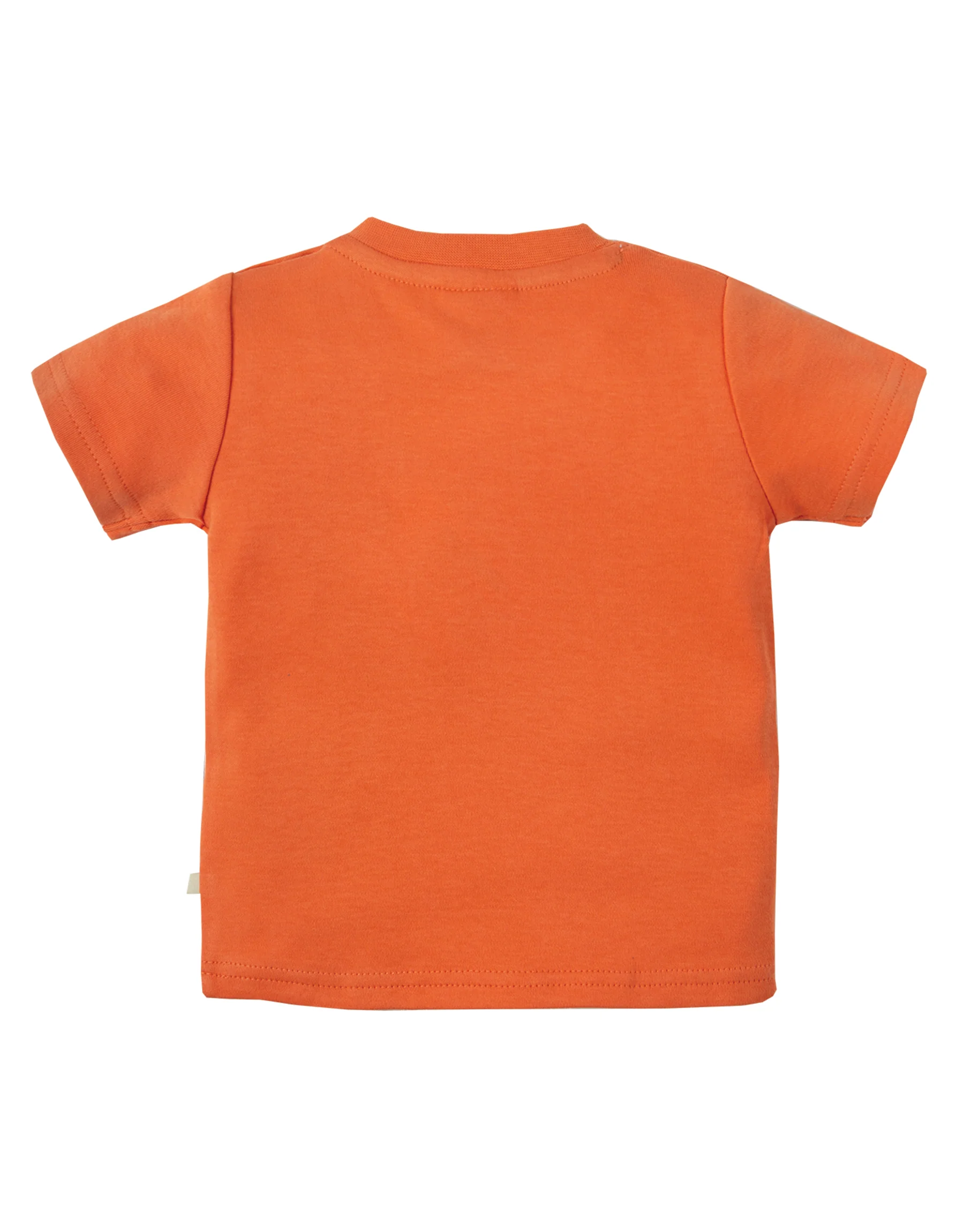 Kurzarm T-Shirt mit Grashüpfer Applikation ( 0-3, 6-12 Monate ) von Frugi - Image 4