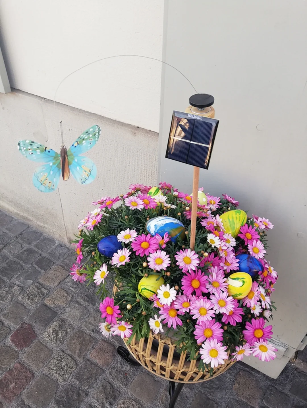 Vorschaubild 1